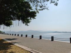 -深圳湾公园(南山区)