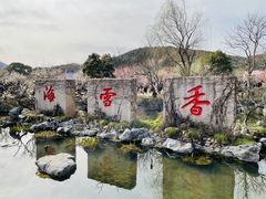 -香雪海