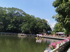 -广州市帽峰山景区