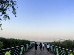 -上海吴淞炮台湾国家湿地公园