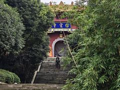 -铁山坪森林公园