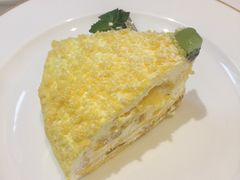 -COVA(上海K11艺术中心店)
