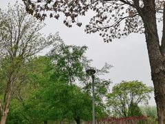 -仁和公园(顺义区)