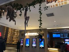 -深影国际影城(学院南路店CGS中国巨幕店)