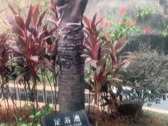 -龙佳生态温泉山庄