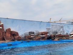 -上海海昌海洋公园
