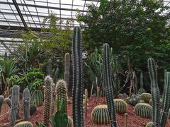 -呀路古热带植物园