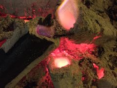-楠柏弯休闲山庄(梨花溪店)