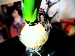-双季花艺园艺市场(浦东店)