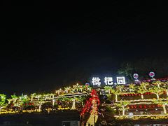 -枇杷园食为鲜火锅(南山店)