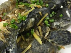 清蒸石斑-覃记海鲜美食餐厅