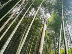 -五泄景区