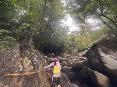 -呀诺达热带雨林