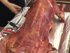 烤全羊-中发源·清真餐厅(南油店)