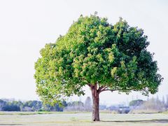 -无锡新湖铂尔曼大酒店