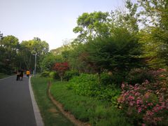 -昆山城市生态森林公园