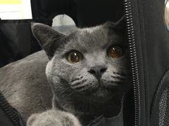 -达爱动物医院·犬猫分区·CT·复杂眼科(远洋山水分院)