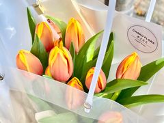 -ChaKo Flora ·茶子花艺 (市北店)