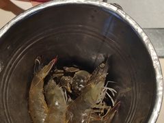 -聚盛源蒸汽海鲜火锅烤肉自助(巨川金海岸购物广场店)