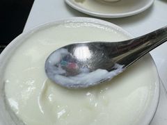 -澳洲牛奶公司(佐敦店)