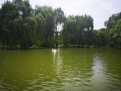 -洛阳市隋唐城遗址植物园
