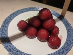 -点都德·毕德寮