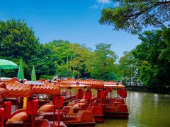 -惠州康帝国际酒店