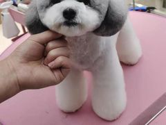 -FAELING PETS美天灵宠物(富力广场店)