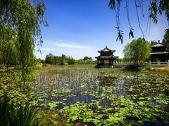 -南湖国家城市湿地公园