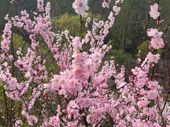 -百里山水画廊乌龙峡谷
