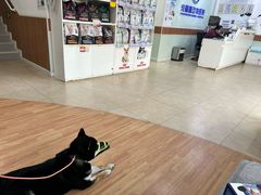 -宠福鑫动物医院·动物疾病诊疗中心(天通苑店)