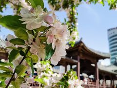 -元大都城垣遗址公园