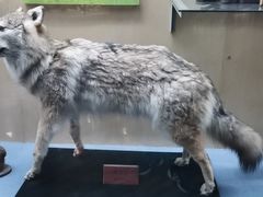 -陕西自然博物馆