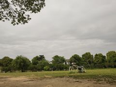 -雨花胜境