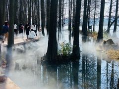 -东湖落雁景区