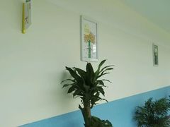 -苏州市妇女儿童活动中心