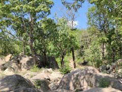 -鹫峰国家森林公园