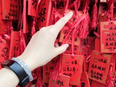 -巴子烤鸭