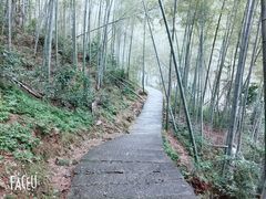 -泽雅景区