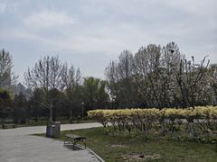 -望湖公园