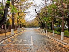 -八大关景区