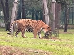 -秦皇岛野生动物园