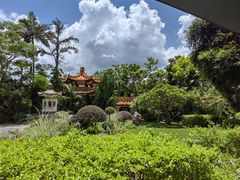 -深圳仙湖植物园