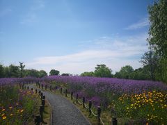 -梁鸿国家湿地公园
