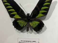 -吉林省自然博物馆
