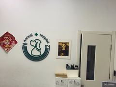-中农国际动物医院24小时·猫科·骨科·急重症中心