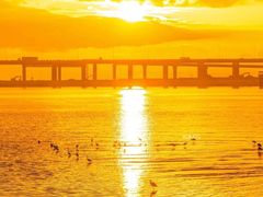 -宝安西湾红树林湿地公园