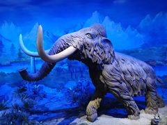 -中国第四纪冰川遗迹陈列馆