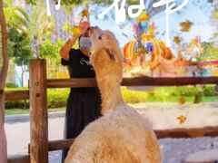 -灵玲国际马戏城