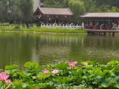 -西海子公园